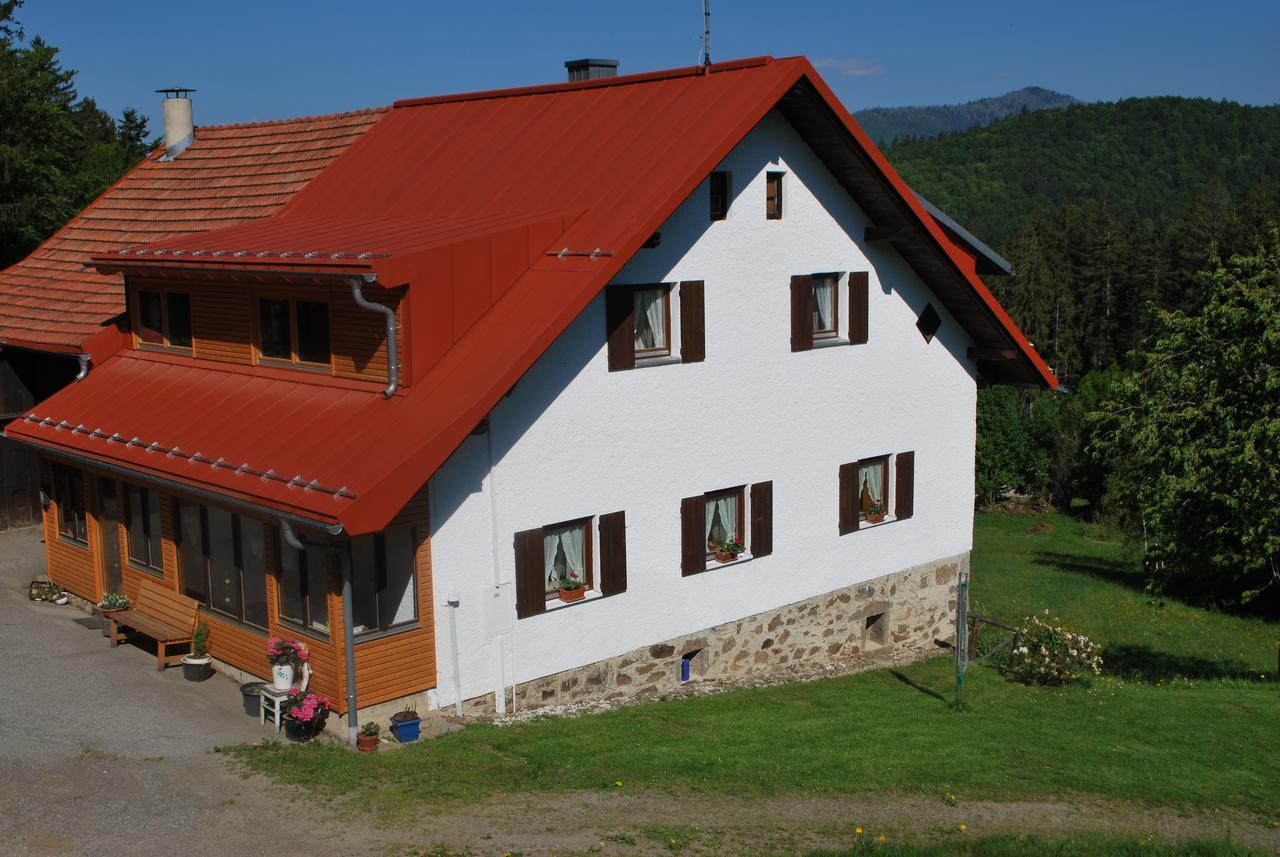 Ferienhaus "Lisa'S Haeusl" Neuschönau Eksteriør billede